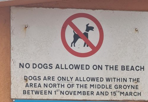 are dogs allowed in middle east